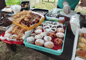 Piknik_2025