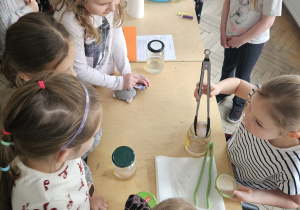 Festiwal_projektow_I_2526