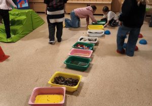 Drzwi_Otwarte_2526_sciezka_sensoryczna